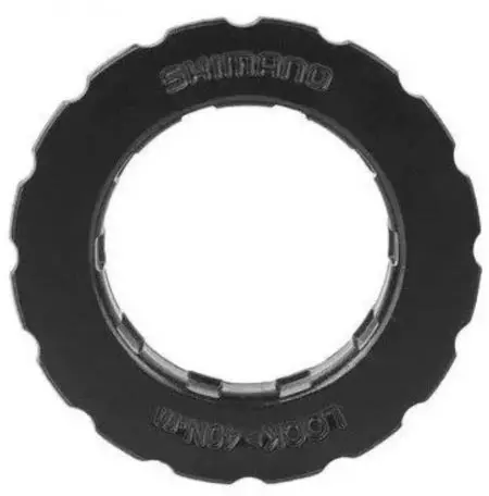 Nakrętka i podkładka tarczy Shimano SM-RT30 - Y8JX98020