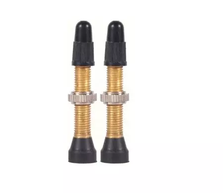 Wentyle tubeless WTB FV TCS 46mm mosiężny - W095-0012