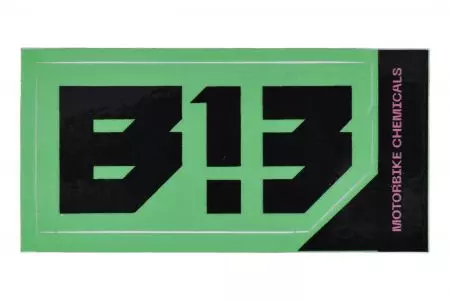 B13