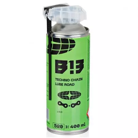 B13