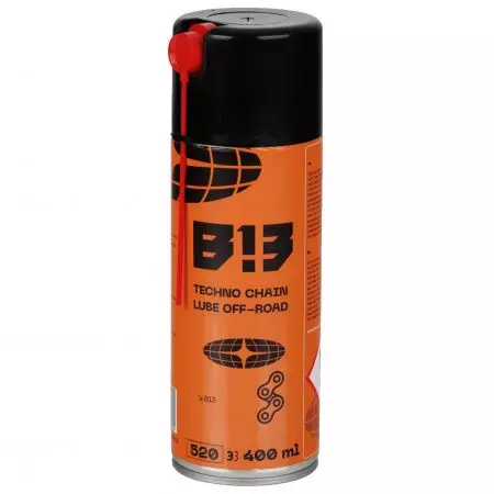 B13