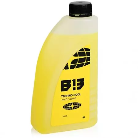 B13